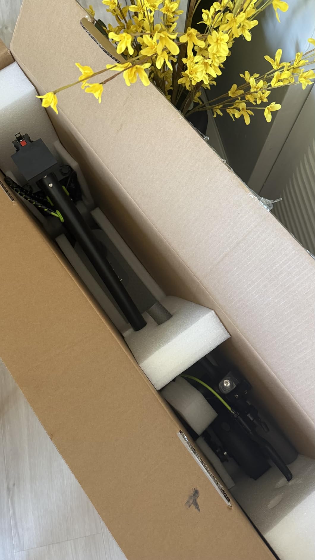 Roinside Electric Scooter - 350W/500W Motor, 8.5