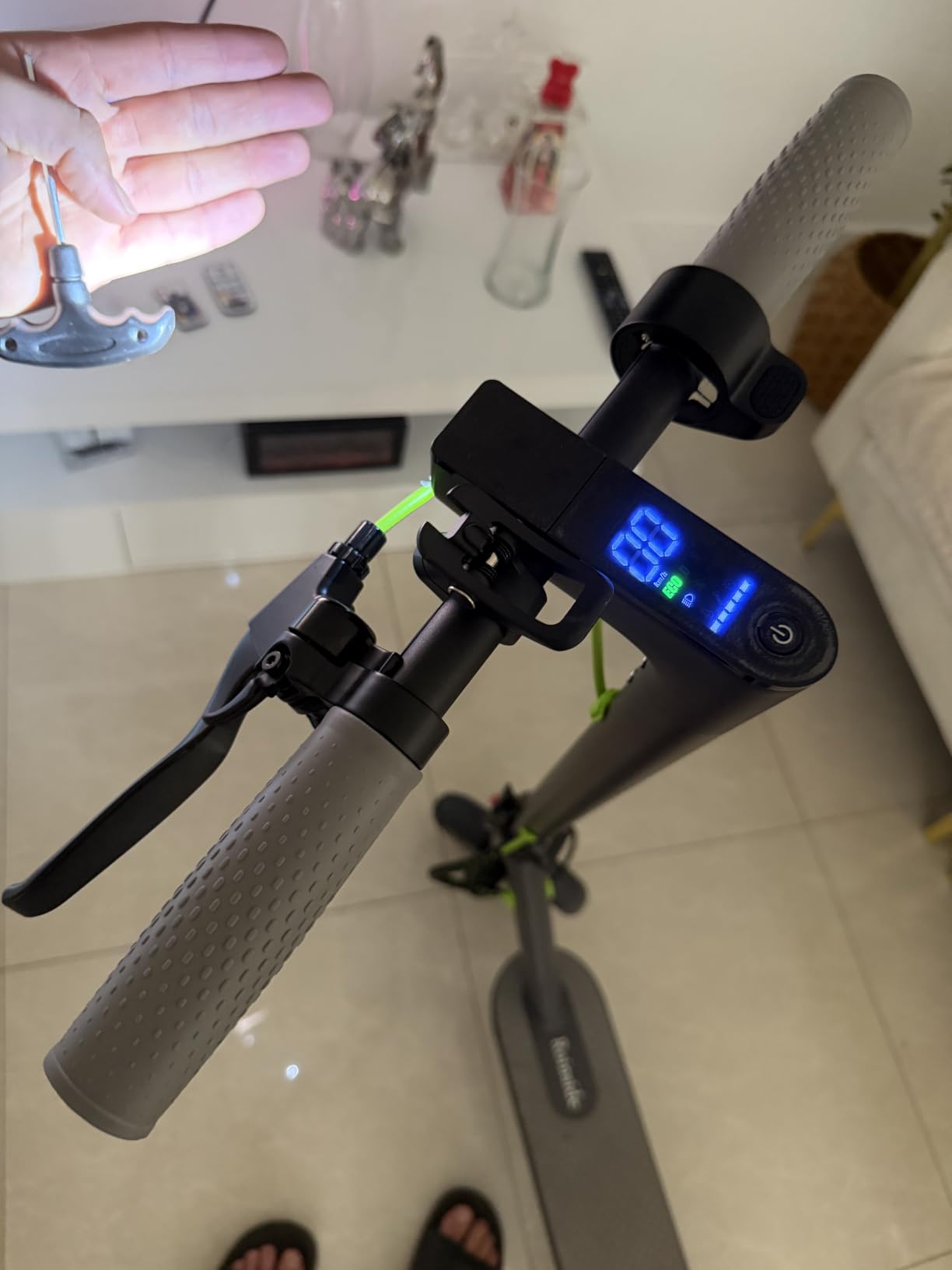 Roinside Electric Scooter - 350W/500W Motor, 8.5