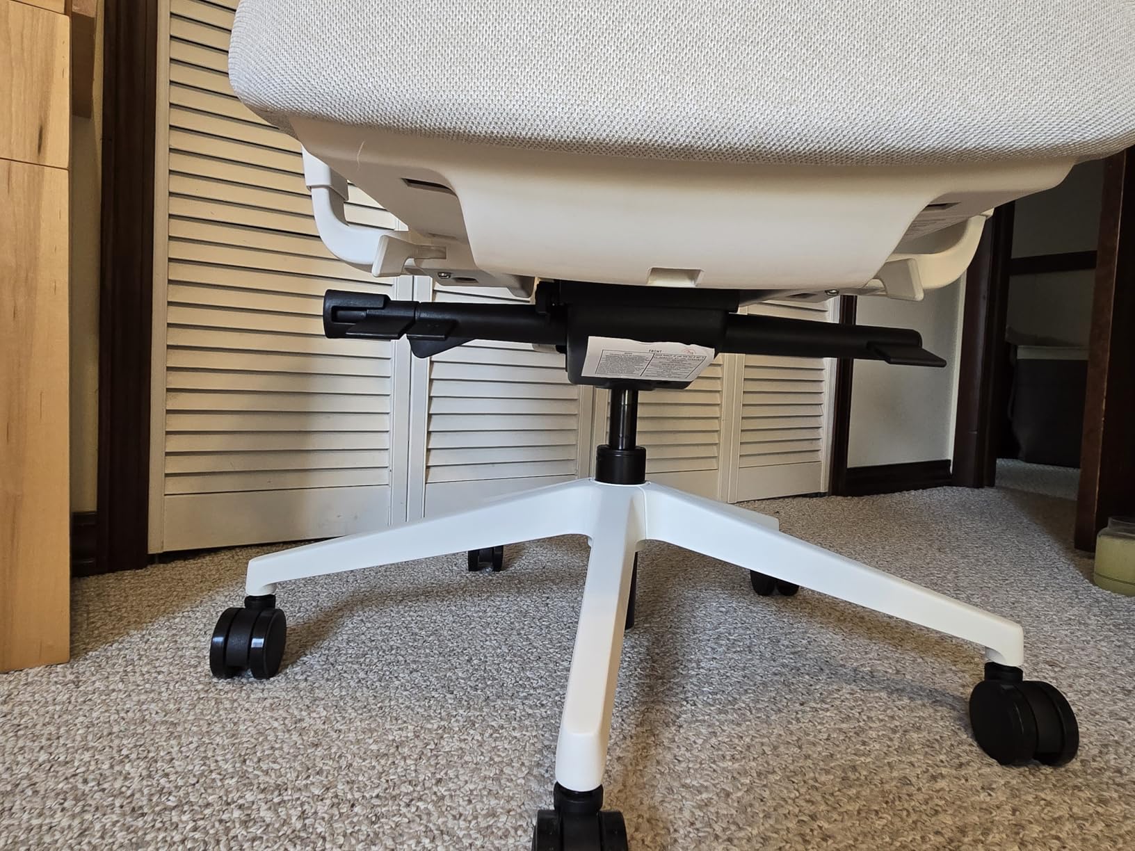 Branch Ergonomic Chair Pro, Mesh Office Chair with 14 Points of Adjustment, Height/Depth/Tilt Adjustable, 5D Armrests, Forward Tilt, Lumbar Support customer photo 2