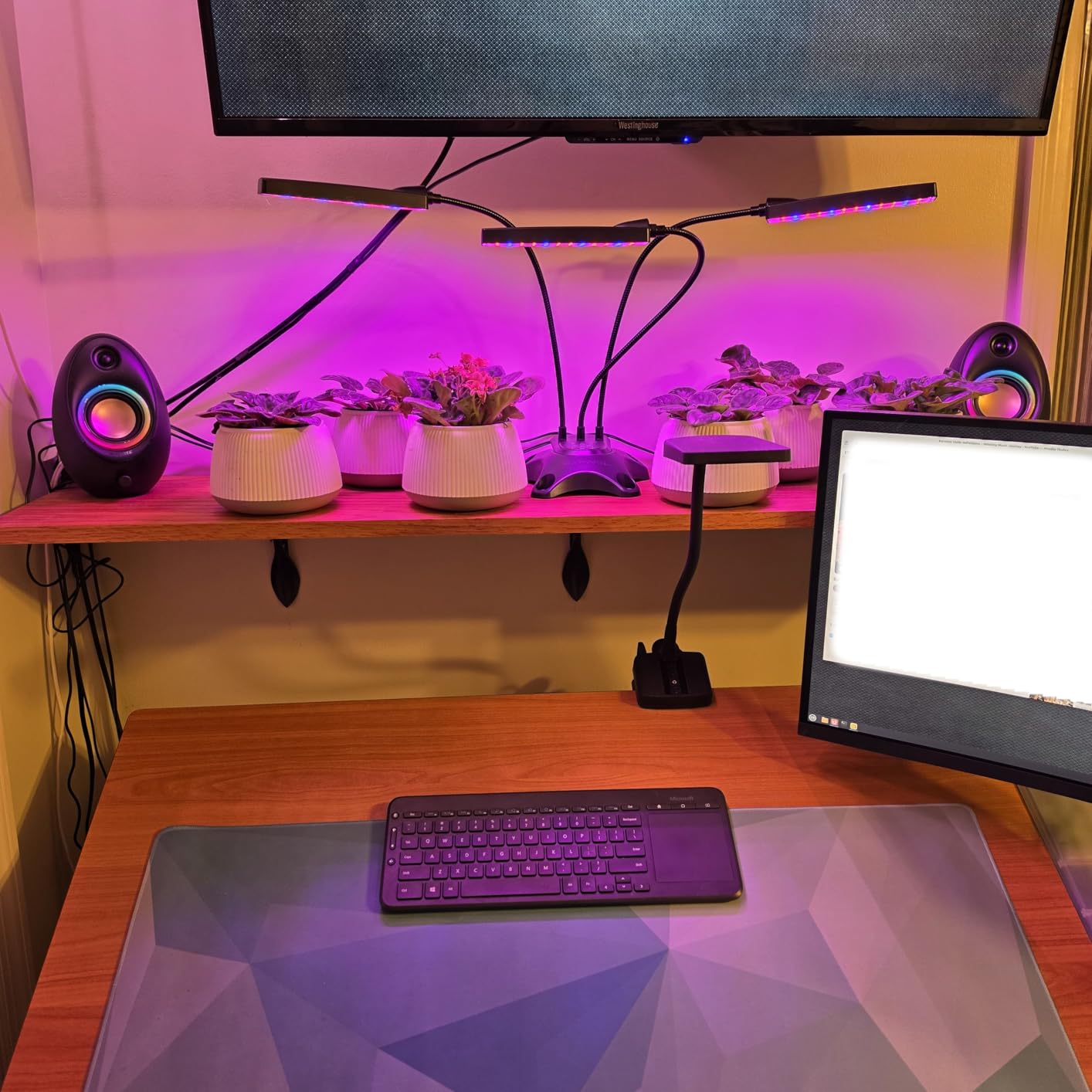 Bluedee Computer Speakers with Subwoofer, 2.1 PC Speakers, 80W Peak Power, DSP-Tuned Sound, Deep Bass, Bluetooth 5.4, RGB Desktop Speakers customer photo 1