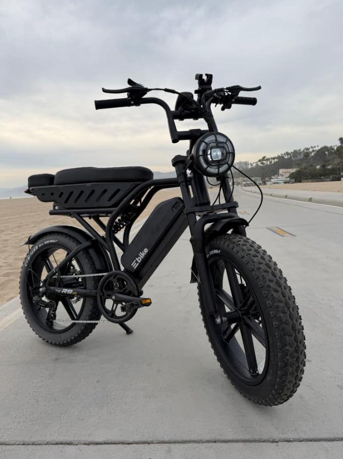 Electric Bike for Adults,48V15Ah Removable Battery Retro Ebike,Suspension | Peak 1500W Motor,20