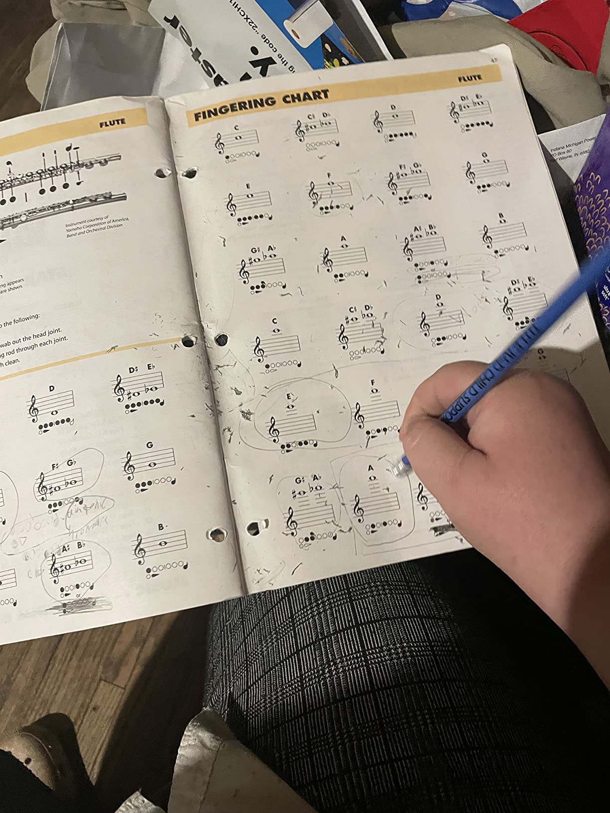 Essential Elements for Band – Flute Book 1 with EEi Online Resources | Flute Method Book and Sheet Music for Students and Teachers | Comprehensive Band Method Songbook – Newer 2025 Edition Available customer photo 1