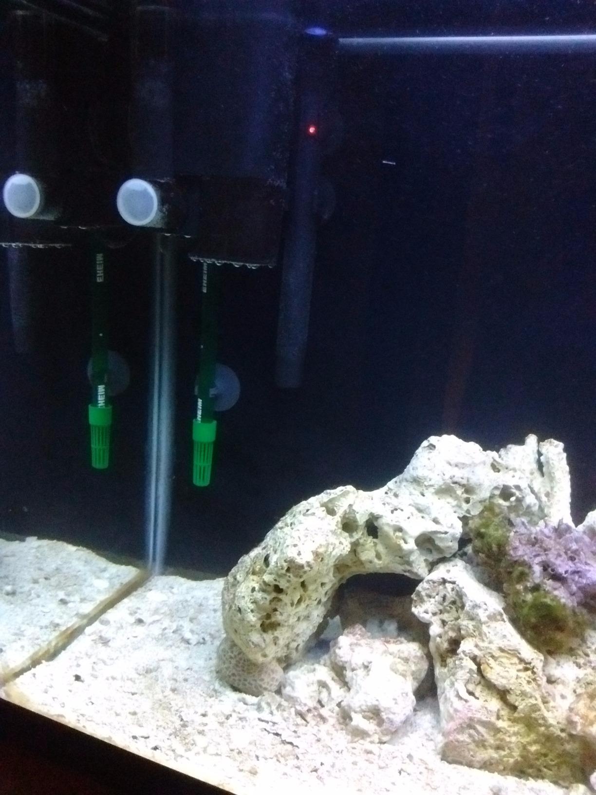 Tunze Comline DOC Protein Skimmer 9001 customer photo 1