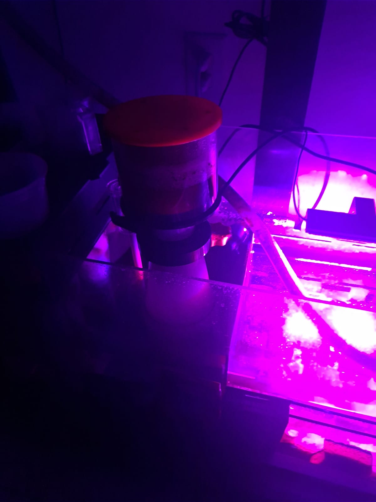 Reef Octopus Classic 110-INT Needle Wheel Protein Skimmer for Aquarium customer photo 1