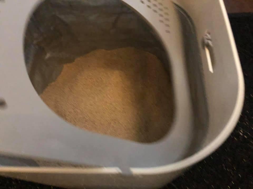 Modkat Top-Entry Cat Litter Box, Leak-Proof, Liner & Scoop, White customer photo 2