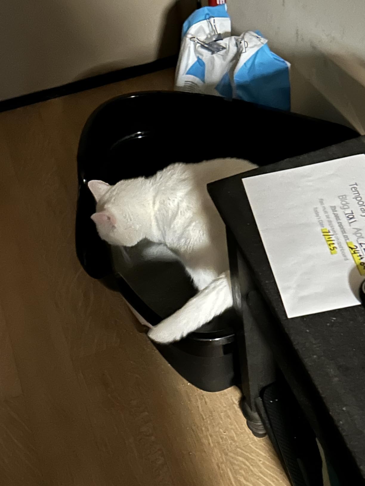 Nature's Miracle Advanced Hooded Corner Cat Litter Box with Charcoal Filter customer photo 2