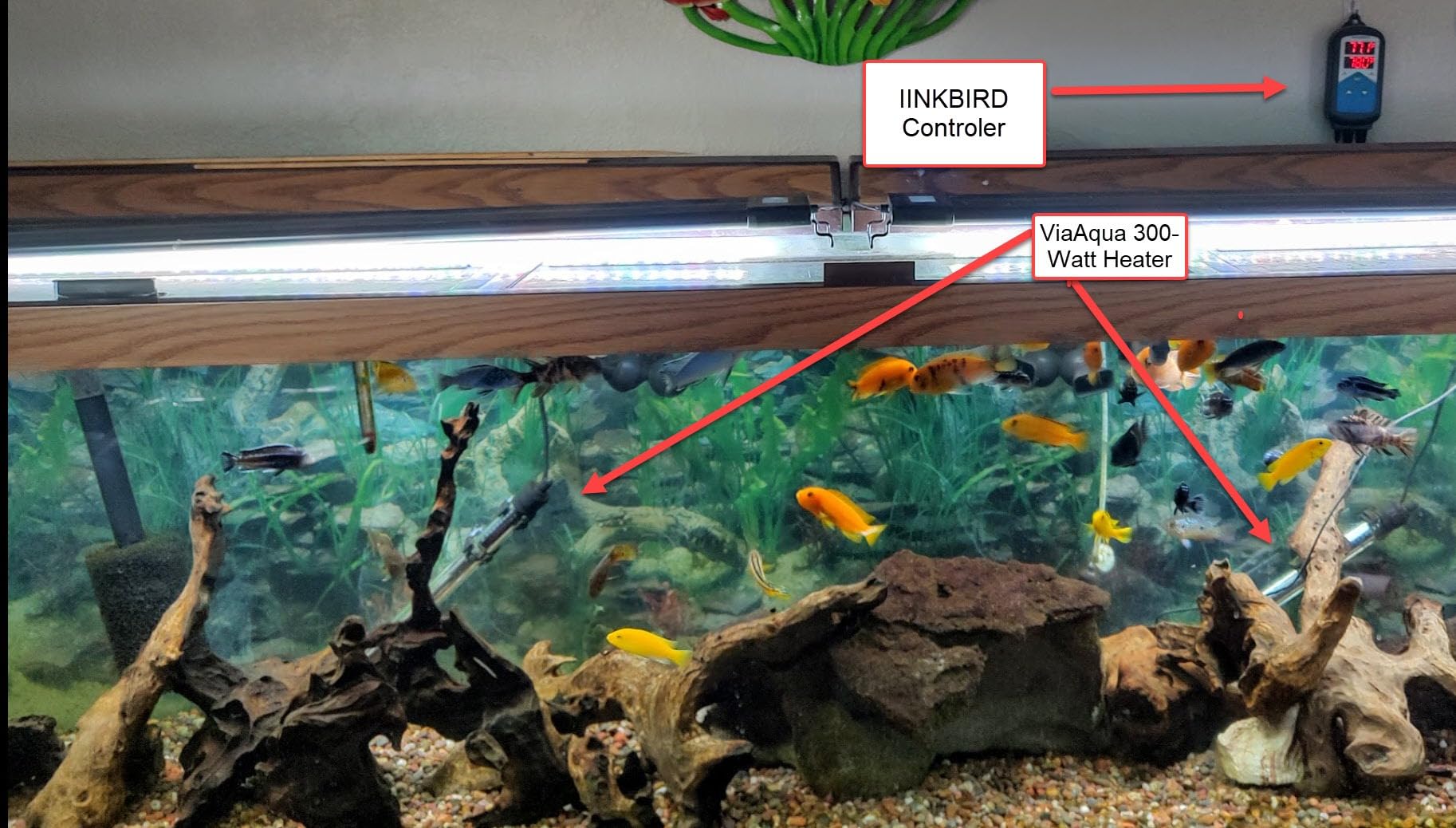 ViaAqua 300-Watt Quartz Glass Submersible Heater with Built-In Thermostat customer photo 1