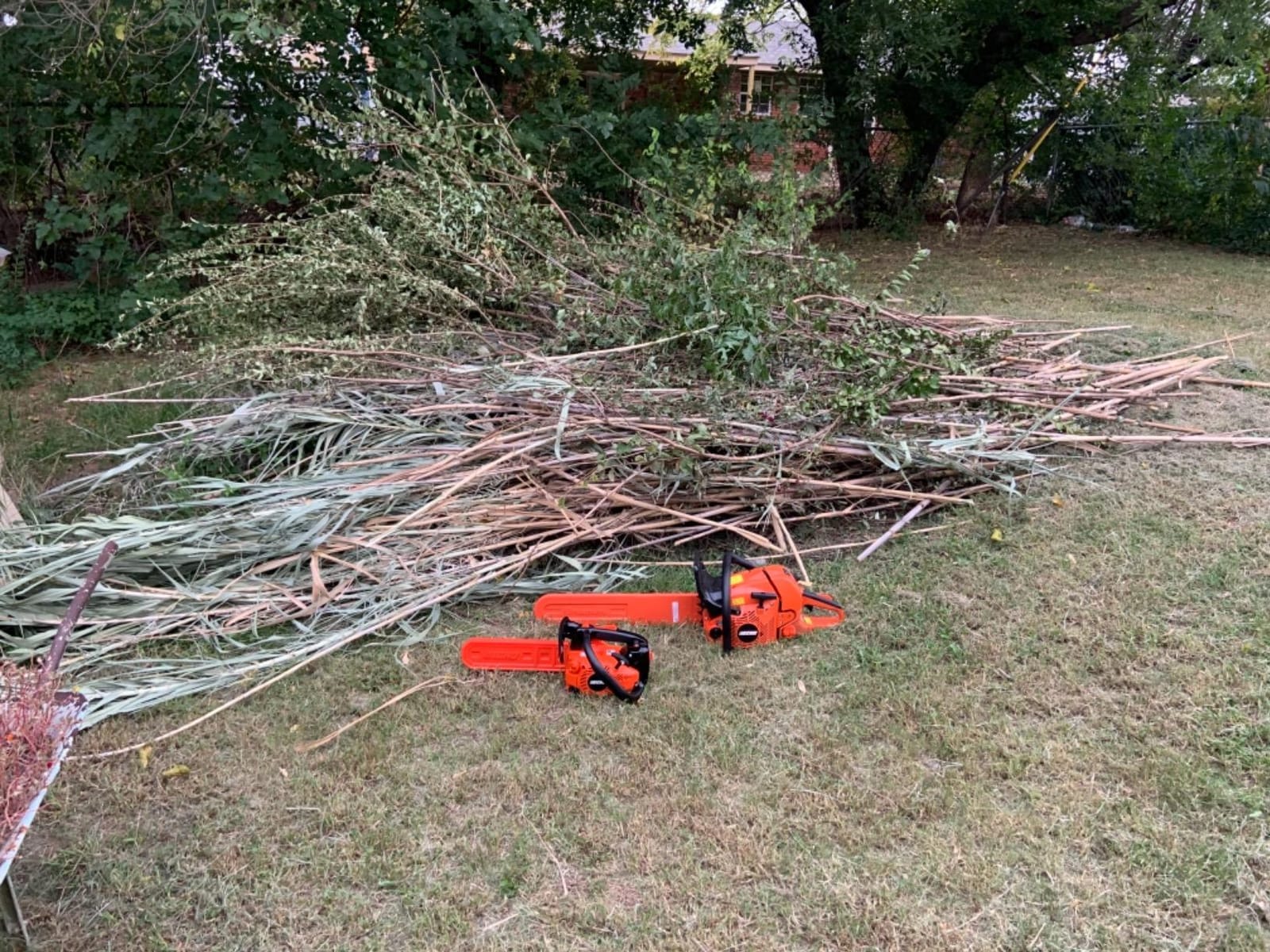 Chain Saw, Gas, 12 In. Bar, 26.9CC customer photo 2