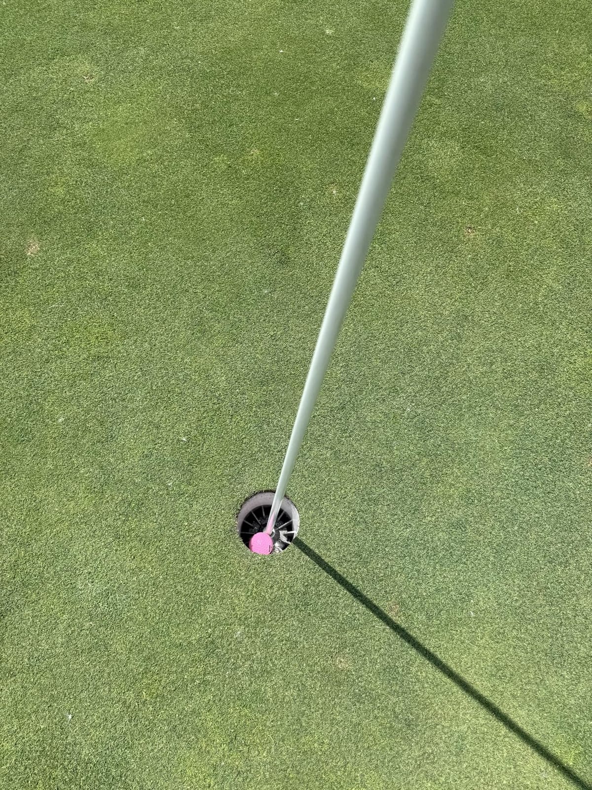 Nitro Maximum Distance Golf Ball (12-Pack) customer photo 2
