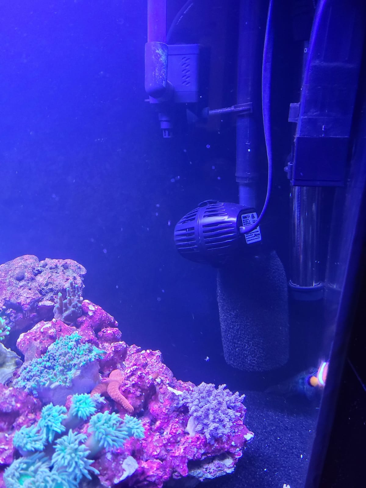 Fluval Sea CP2 Wave Maker Circulation Pump for Aquariums customer photo 2