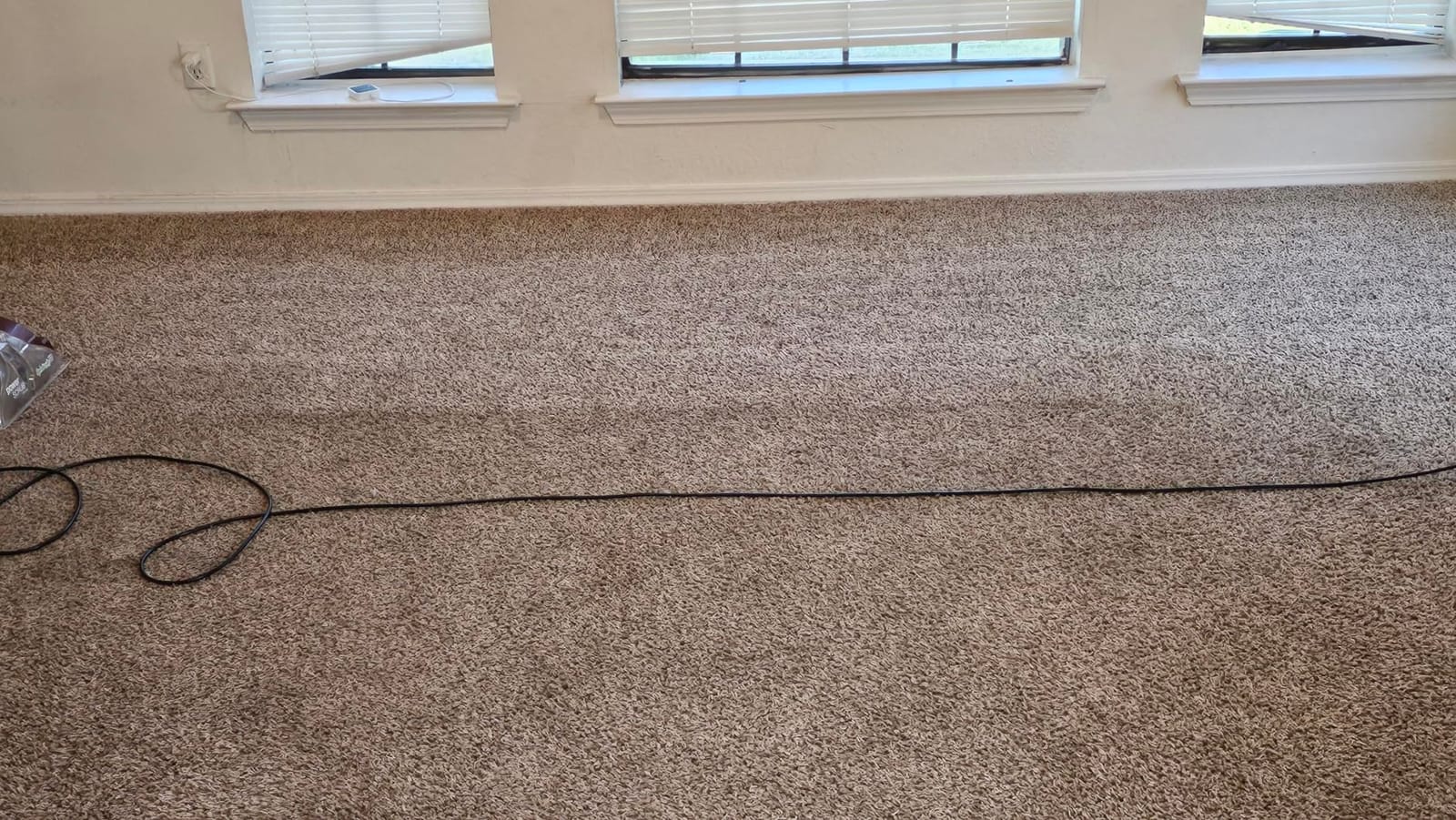 Hoover PowerScrub Deluxe Carpet Cleaner Machine, Pet & Upholstery Tools customer photo 2