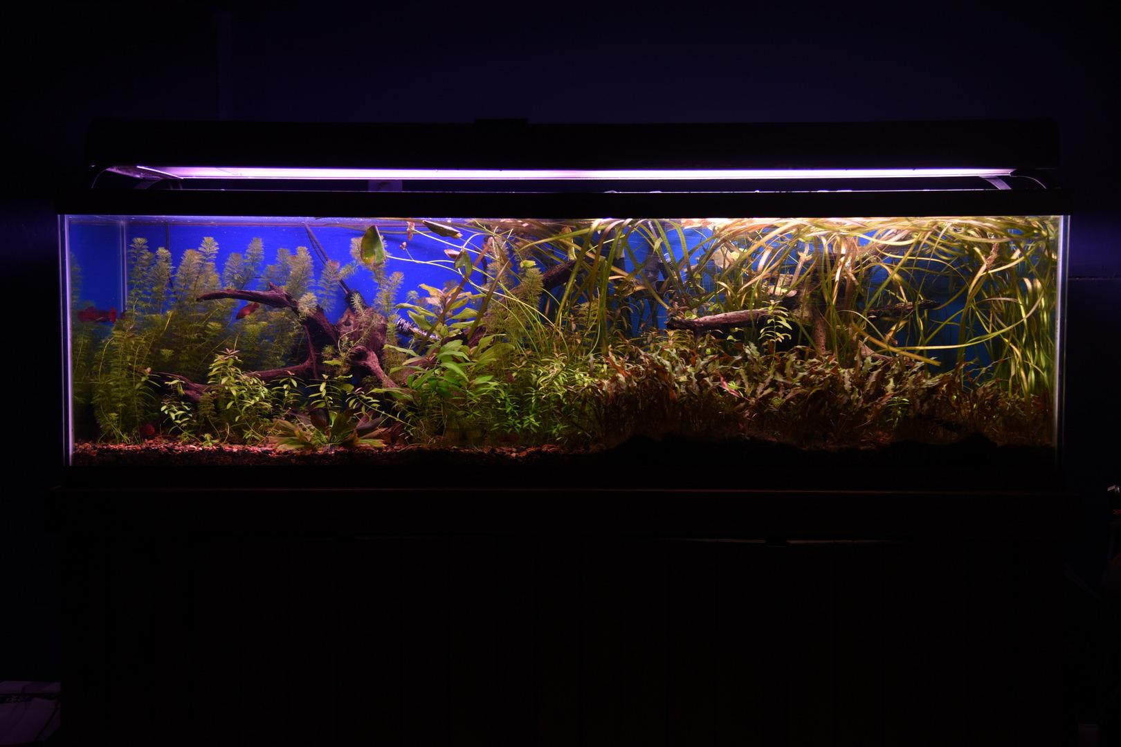 Fluval FX6 High Performance Aquarium Filter, up to 400 Gal. customer photo 1