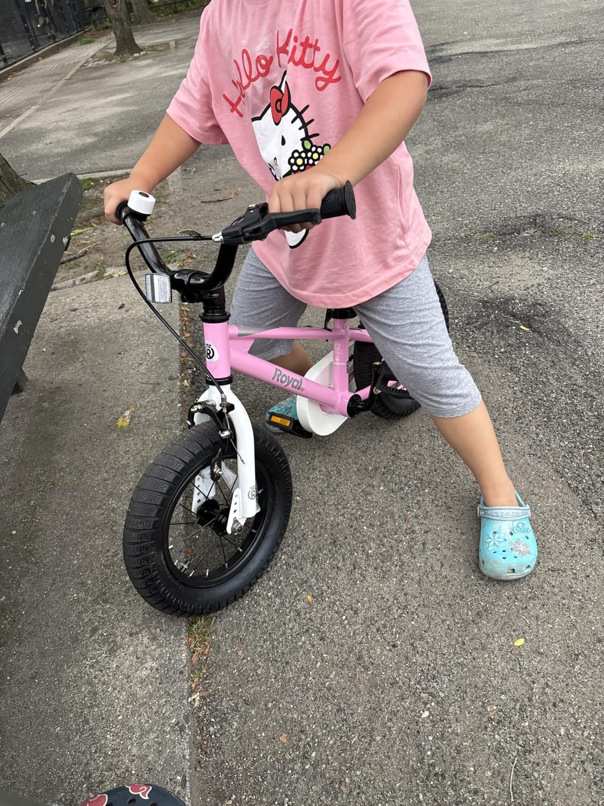 RoyalBaby Freestyle Kids Bike for Boys Girls Ages 3-10 Years customer photo 2
