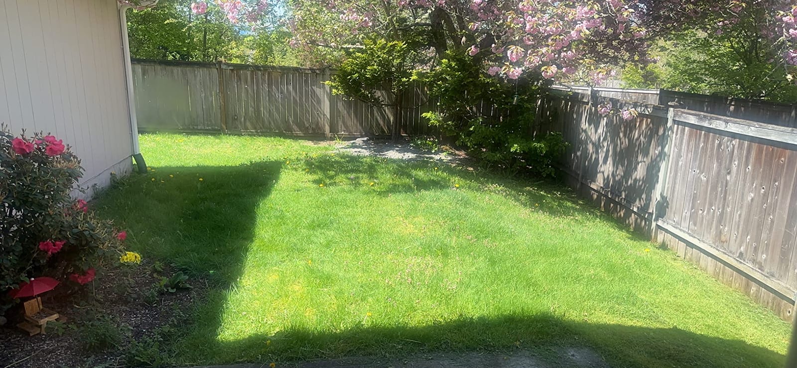 BLACK+DECKER 20V MAX String Trimmer and Edger 2 in 1, Cordless Weed Wacker with Auto Spool Feed, Battery and Charger Included, 12 Inch Steel Deck, Reduced Vibration (LST300) customer photo 2