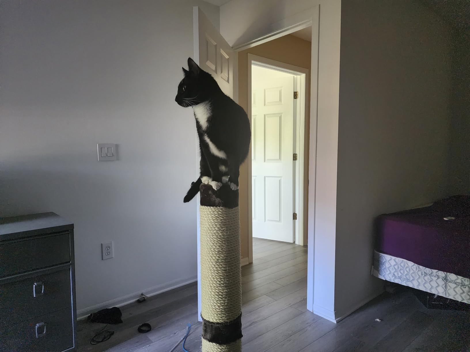 MidWest Homes for Pets Feline Nuvo Grand Forte Scratching Post, 41 Inches Tall, Heavy-Duty Sisal Post with Wide Base, Thick Brown Faux Fur, for Large and Multi-Cat Households customer photo 2