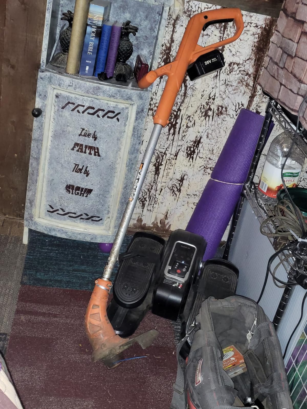 Worx 20V 10