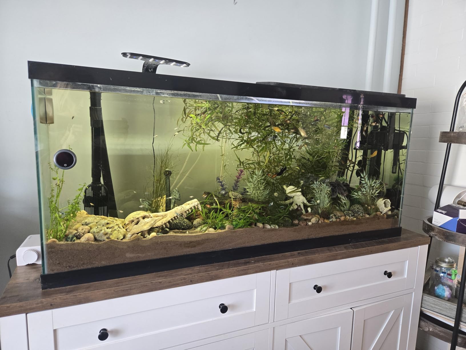 Fluval FX4 High Performance Aquarium Filter, up to 250 Gal. customer photo 2