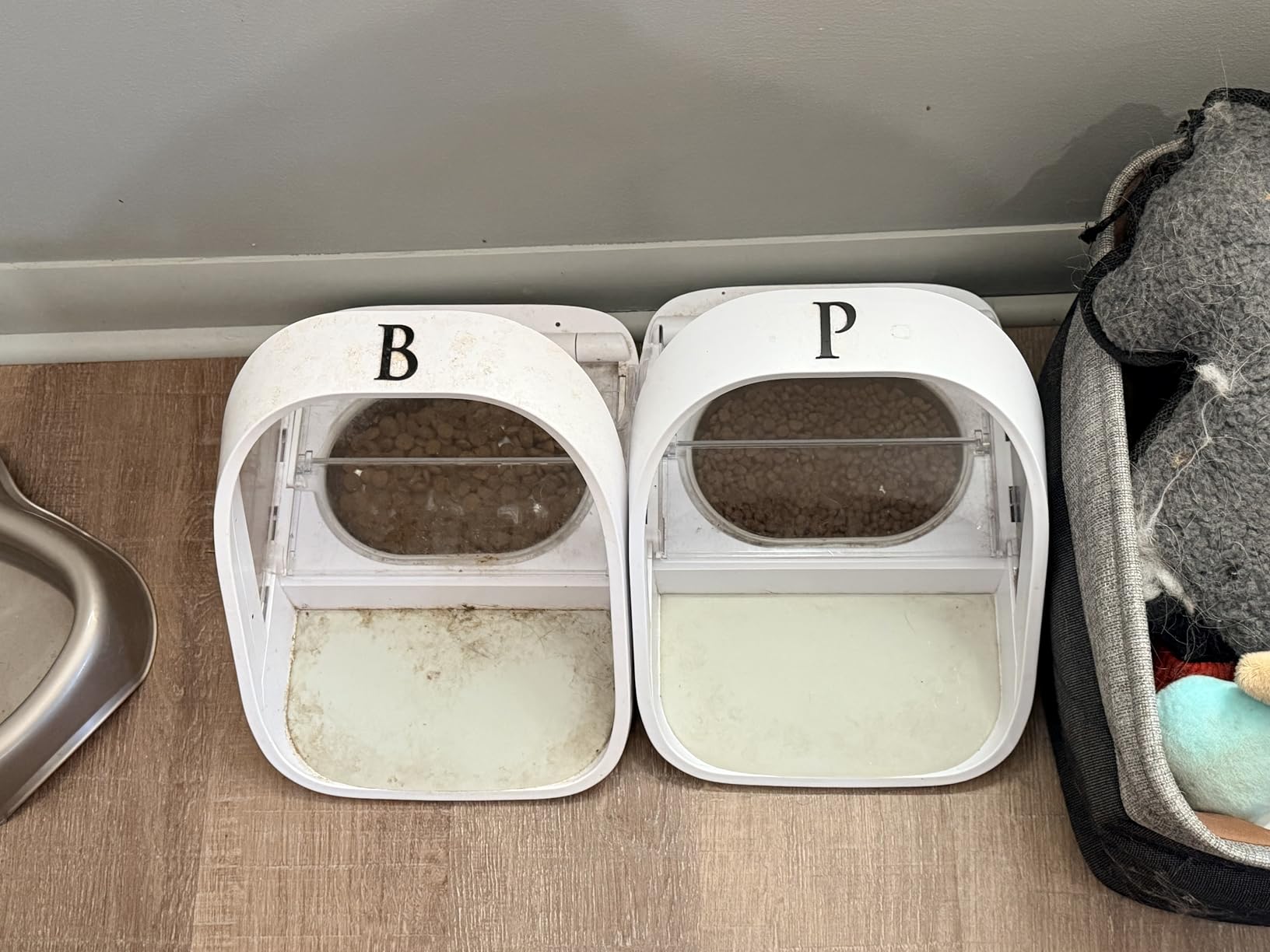 Sure Petcare -SureFlap - SureFeed - Microchip Pet Feeder - Selective-Automatic Pet Feeder Makes Meal Times Stress-Free, Suitable for Both Wet and Dry Food - MPF001 customer photo 1