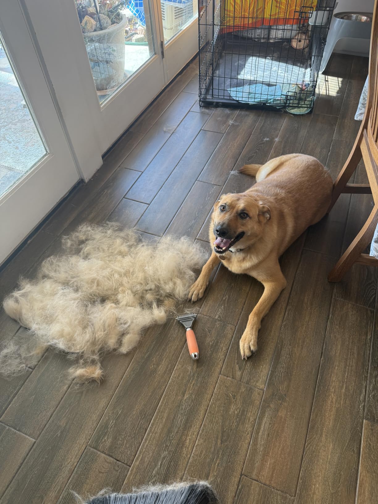 GoPets 2-in-1 Deshedding & Dematting Comb & Grooming Brush for Dogs & Cats customer photo 2