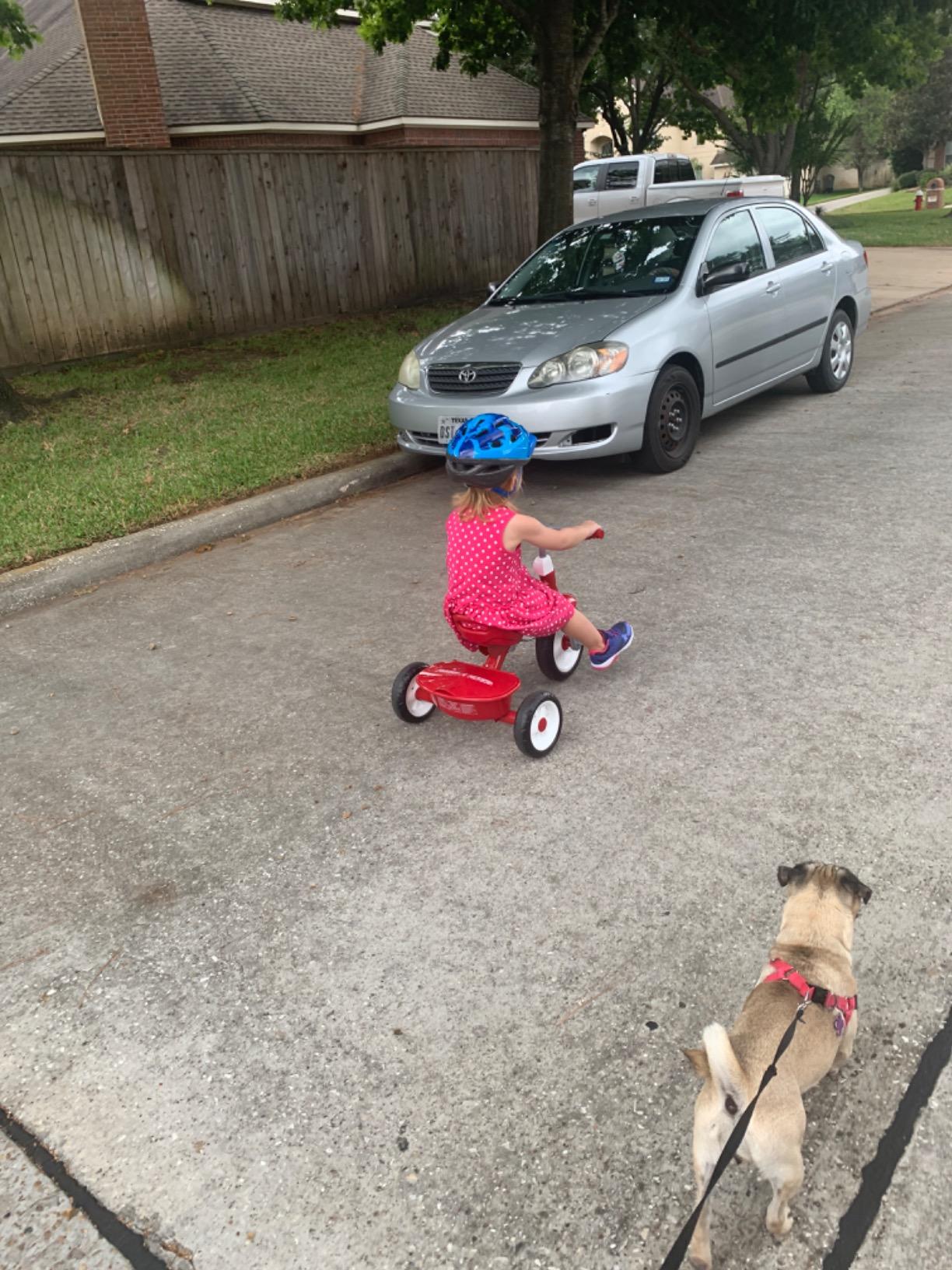Radio Flyer Red Rider Trike, for Ages 2.5-5, Toddler Tricycle customer photo 1