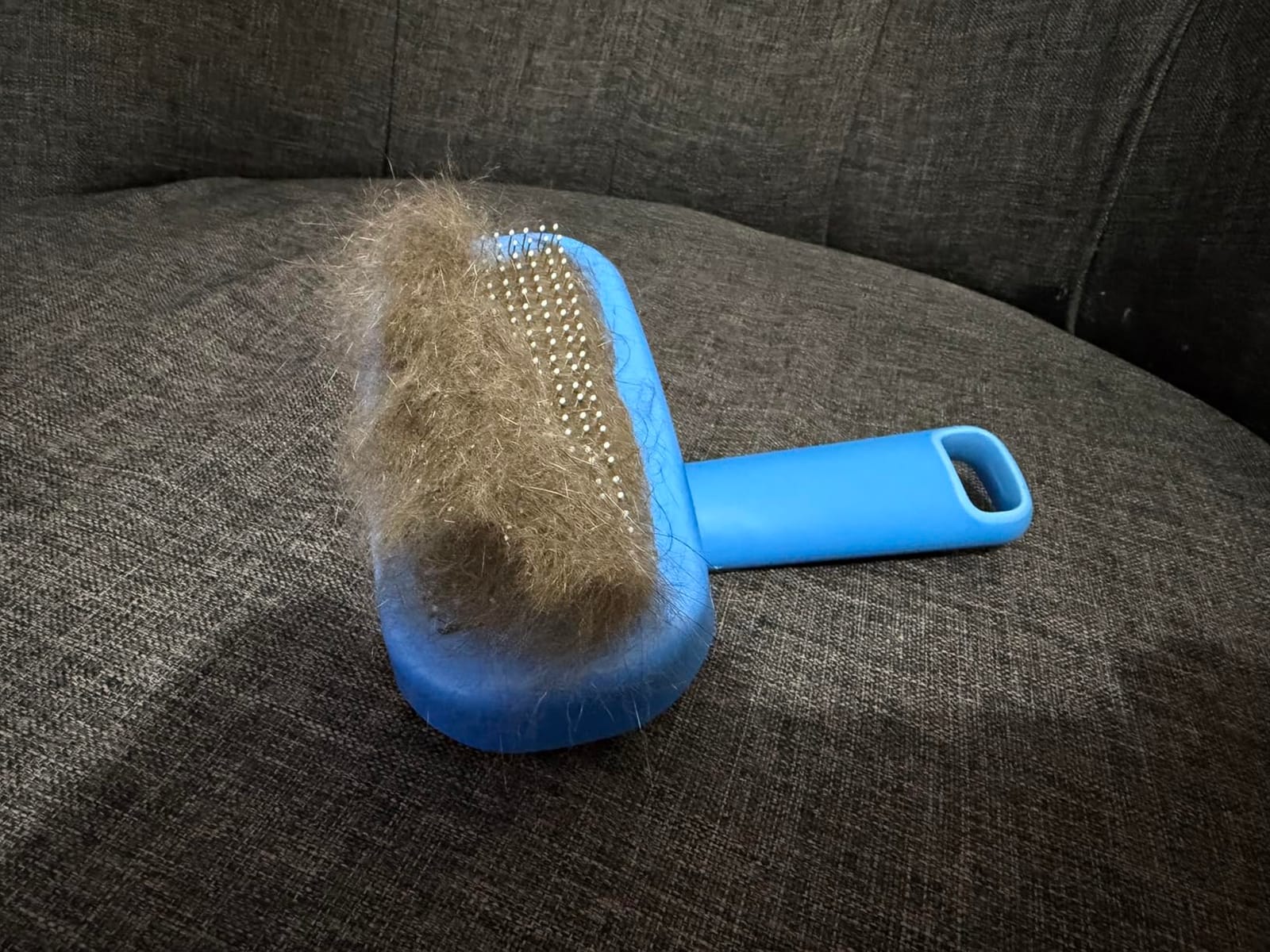 Hertzko Self Cleaning Slicker Brush for Dogs and Cats - Pet Hair Brush for Shedding Long and Short Hair - Easy Clean Retractable Bristles - Cat and Dog Grooming Tool - Purple customer photo 1