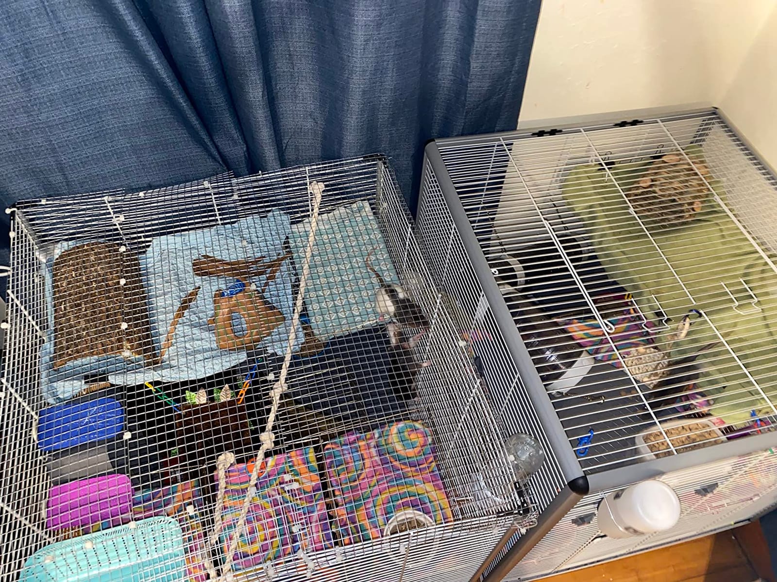 Ferplast Ferret Tower Two-Story Ferret Cage | XXL| Ferret Cage Measures 29.5L x 31.5W x 63.4H - Inches customer photo 2