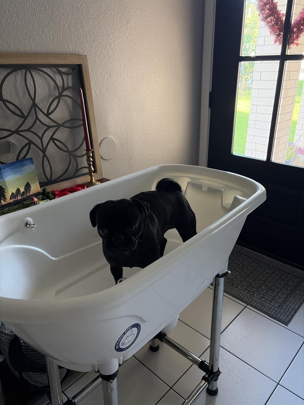 Flying Pig™ Pet Dog Cat Portable Bath Tub (White, 37.5