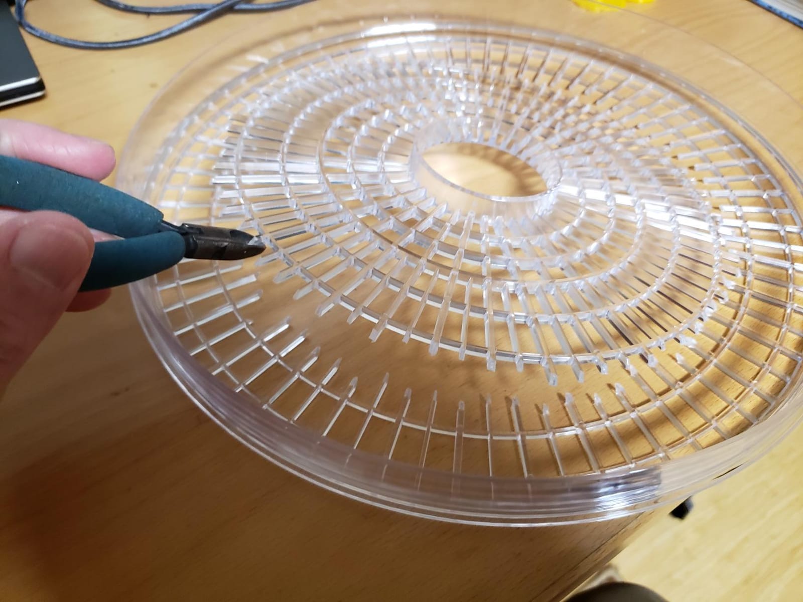 Rosewill Food Dehydrator Machine, 5 BPA-Free 12.6’ Trays, Adjustable Temperature Controls | 95-158°F | 350W, Jerky, Herbs, Fruit, Veggies, Dried Snacks, White customer photo 1