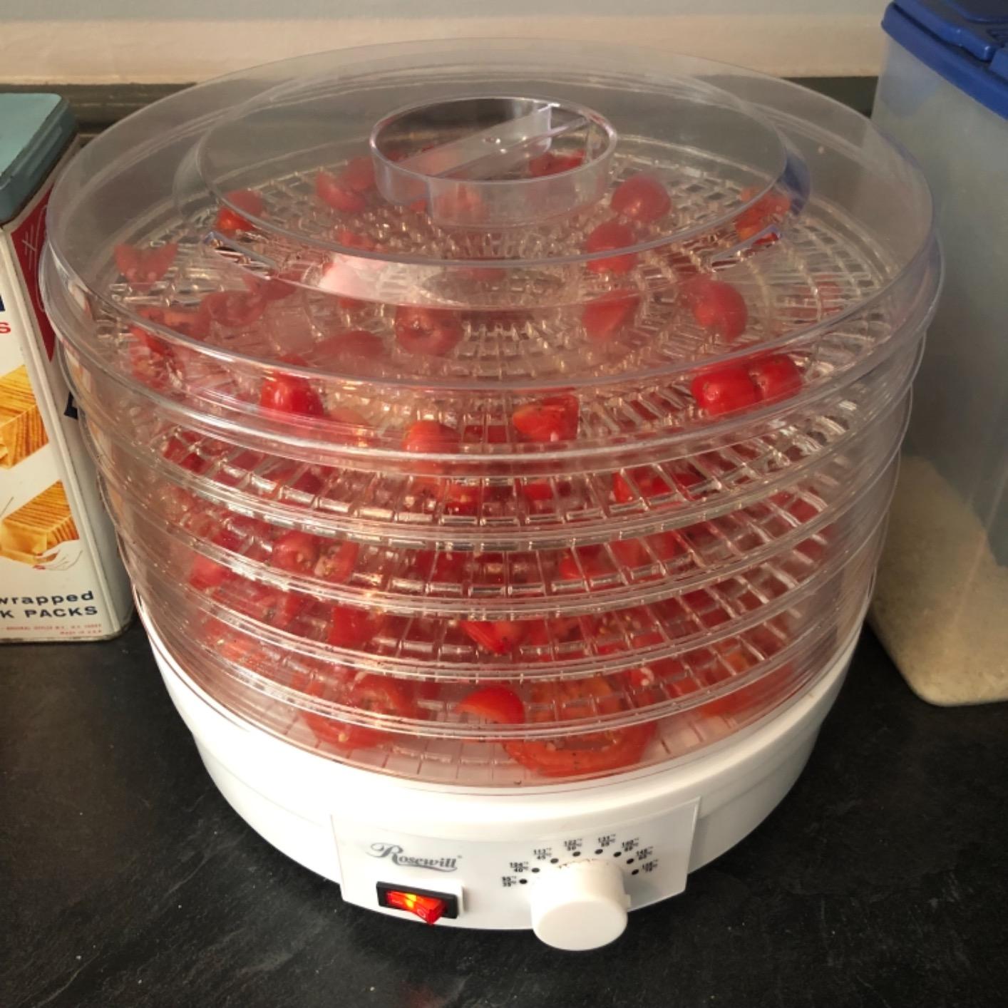 Rosewill Food Dehydrator Machine, 5 BPA-Free 12.6’ Trays, Adjustable Temperature Controls | 95-158°F | 350W, Jerky, Herbs, Fruit, Veggies, Dried Snacks, White customer photo 2
