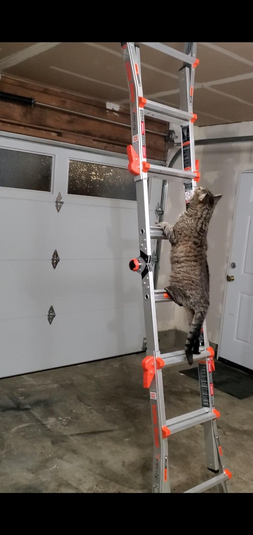 Little Giant Velocity, Aluminum Ladder, 26 ft Reach, 15426-001 customer photo 2