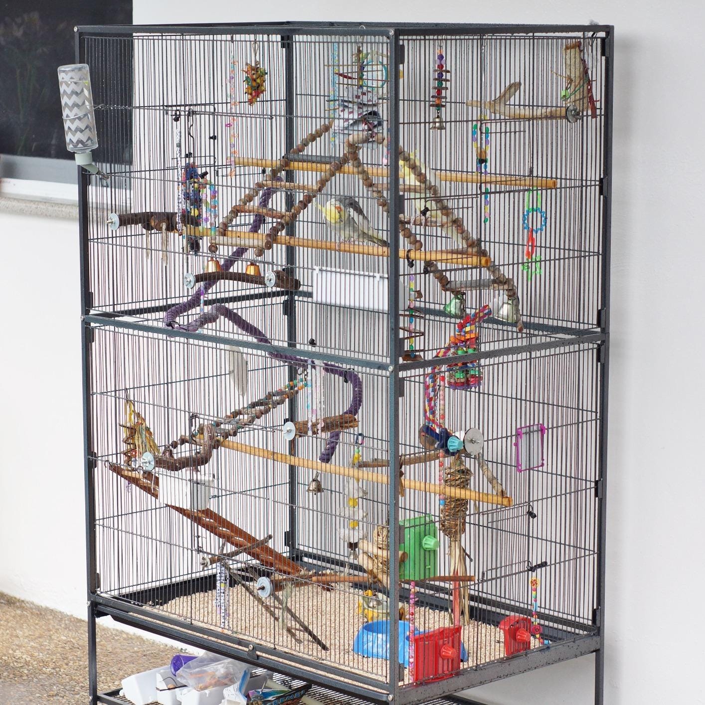 Prevue Pet Products Wrought Iron Bird Flight Cage w/Wheels- L, Chalk White customer photo 2