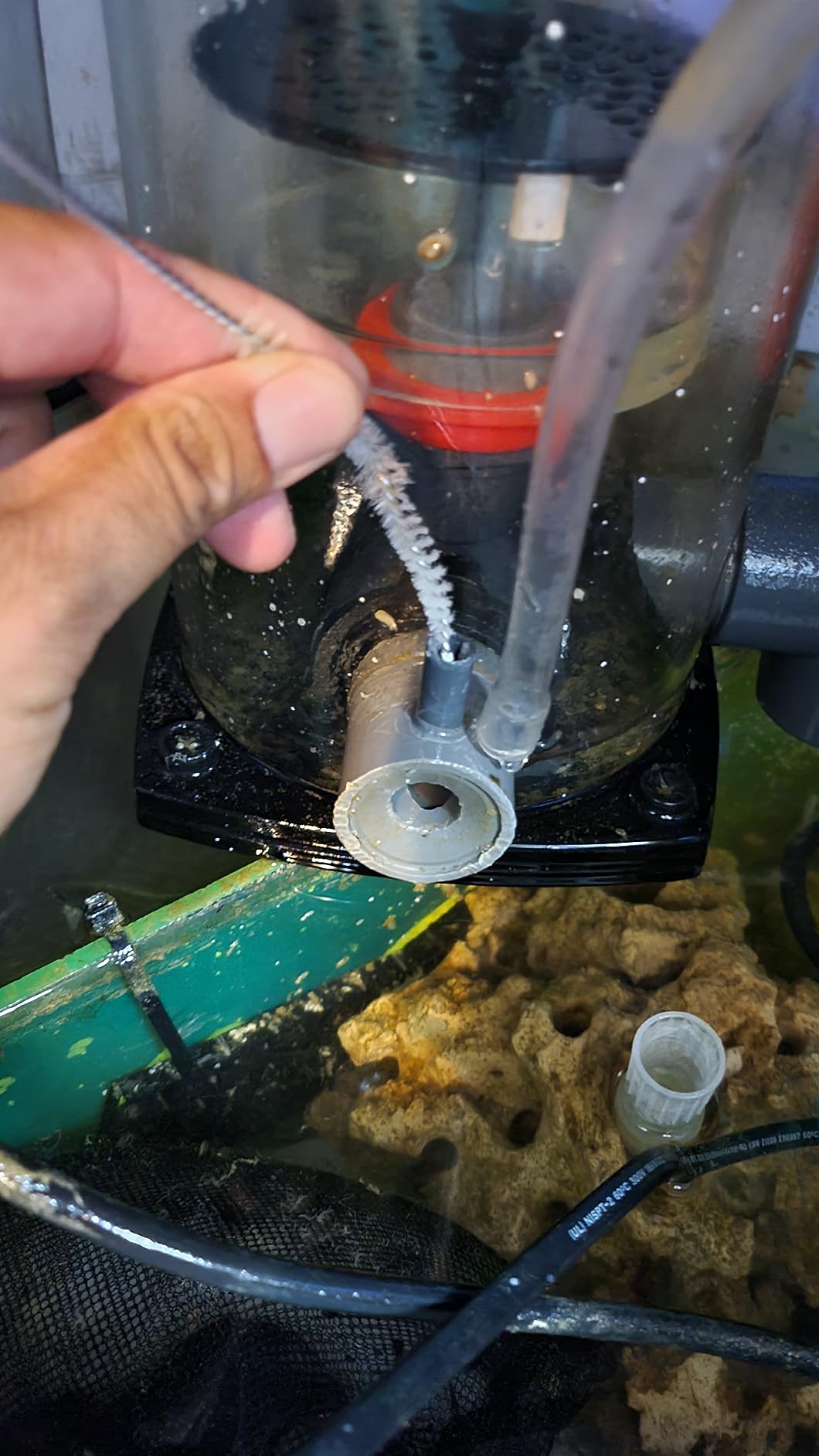 Reef Octopus Classic 150SSS Protein Skimmer customer photo 2