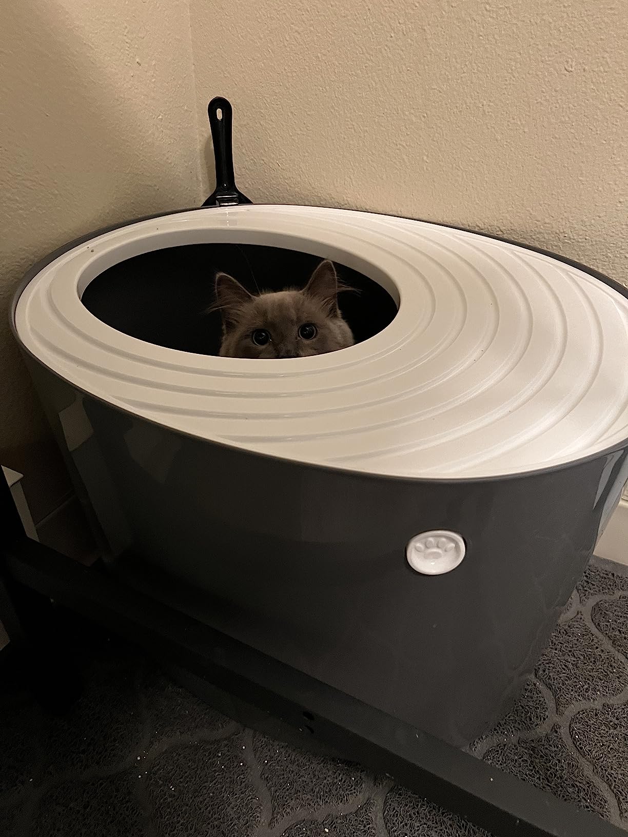 IRIS USA Large Top Entry Cat Litter Box, Hooded Privacy, Beige/White customer photo 1