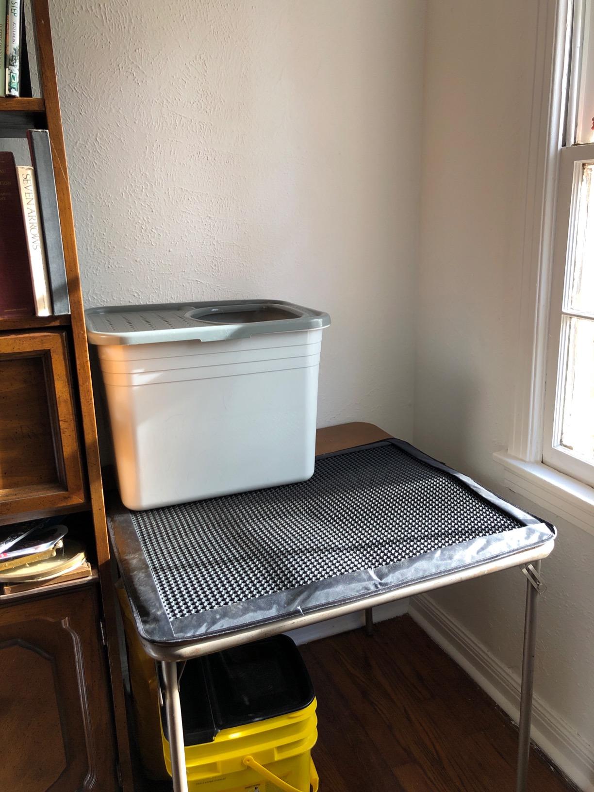 Arm & Hammer Premium Top Entry Litter Box with Filter to Clean Paws and Microban, Made in USA customer photo 2