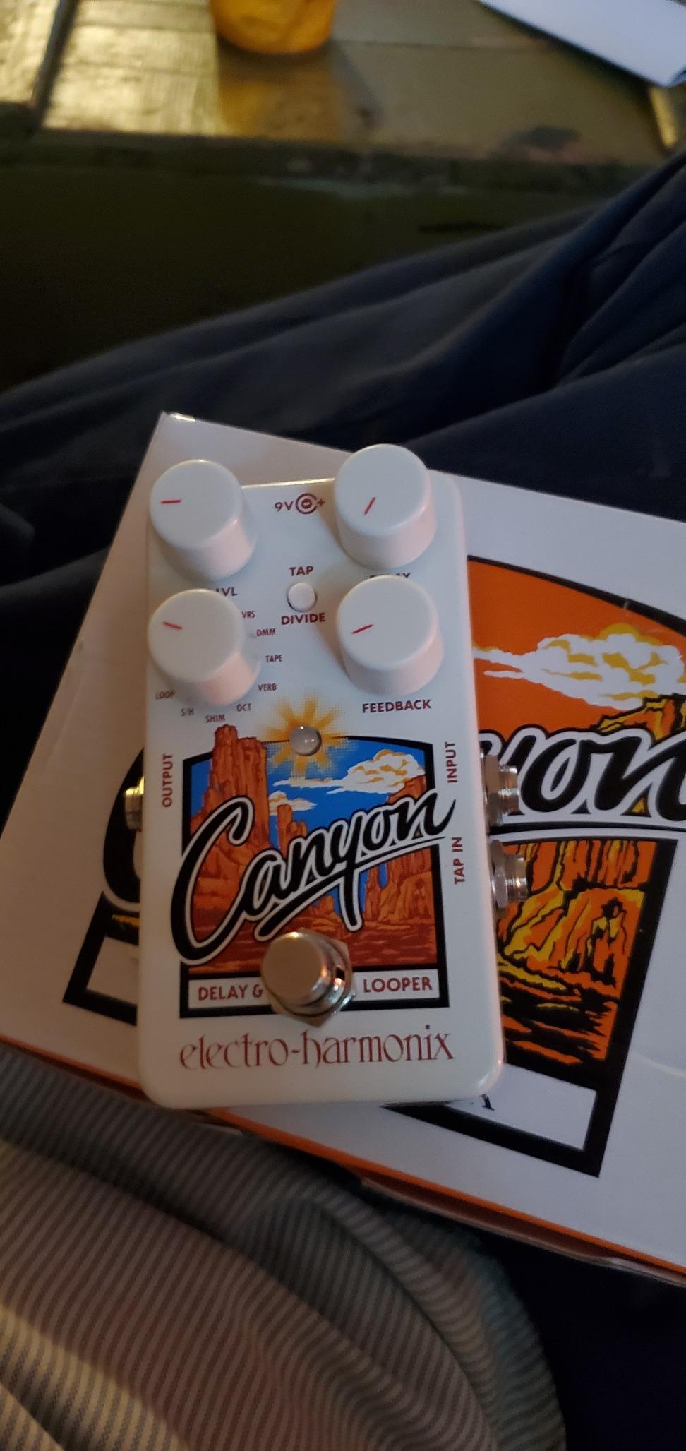Electro-Harmonix Canyon Delay & Looper Pedal customer photo 1