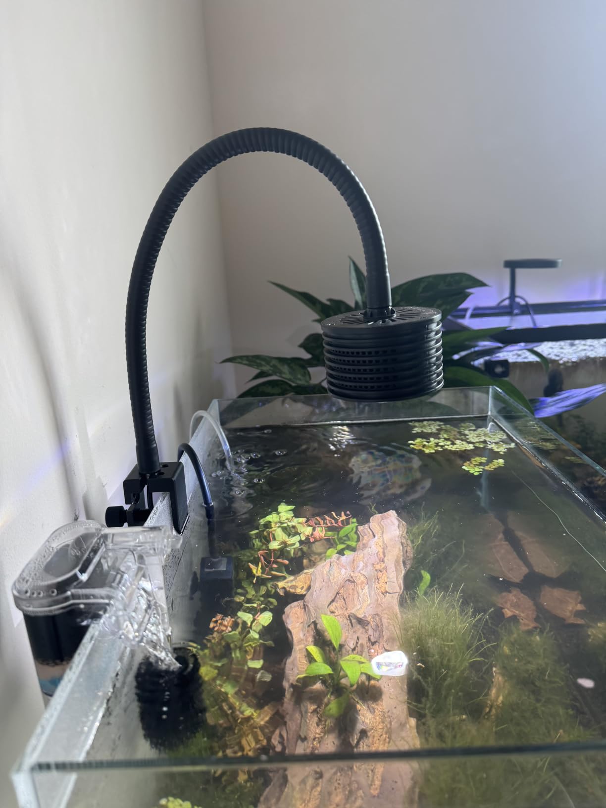 Lominie LED Aquarium Light, Planted Tank Light 4 Channels Remote Control 6500K Aquarium LED Lamp for Freshwater Fish Tank Refugium with Gooseneck (A20 Freshwater) customer photo 1