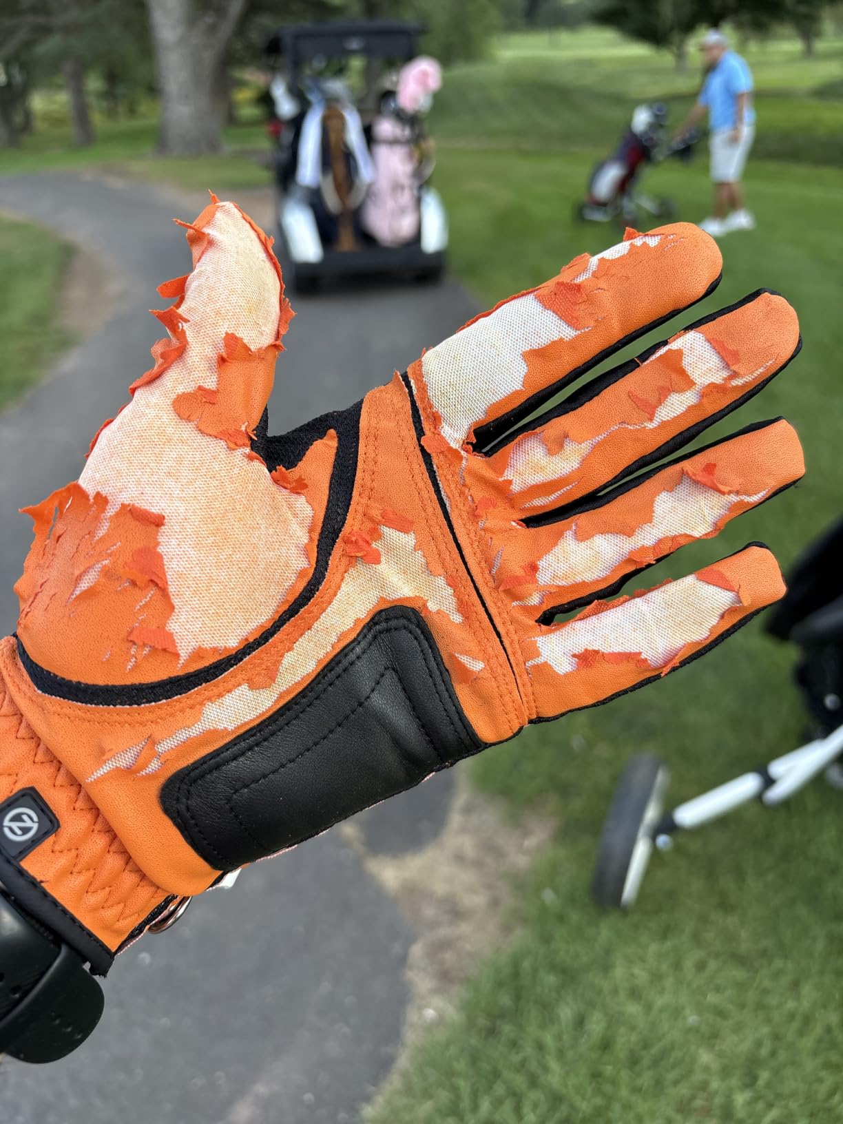 Zero Friction Men's Compression-Fit Synthetic Golf Glove, Universal Fit One Size (Pack of 2) with Pack of Golf Tees customer photo 2