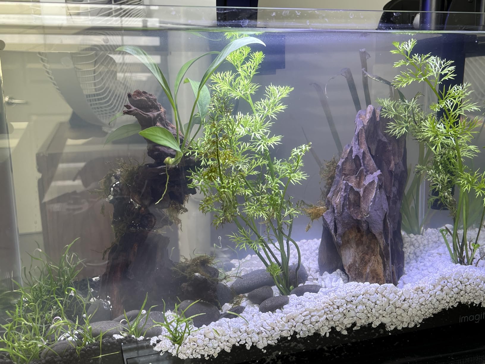 Aqueon Clip-On LED Fish Tank Light for Planted Aquariums, Up to 20 Gal customer photo 1