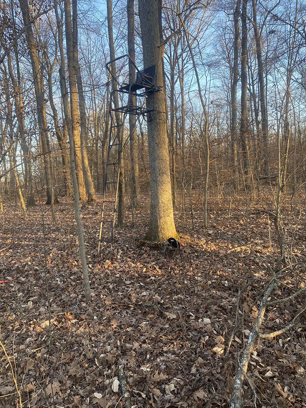 Hunter HD 1.5 Deer Hunting Ladder Climbing Tree Stand w/Extra Wide Seat customer photo 1