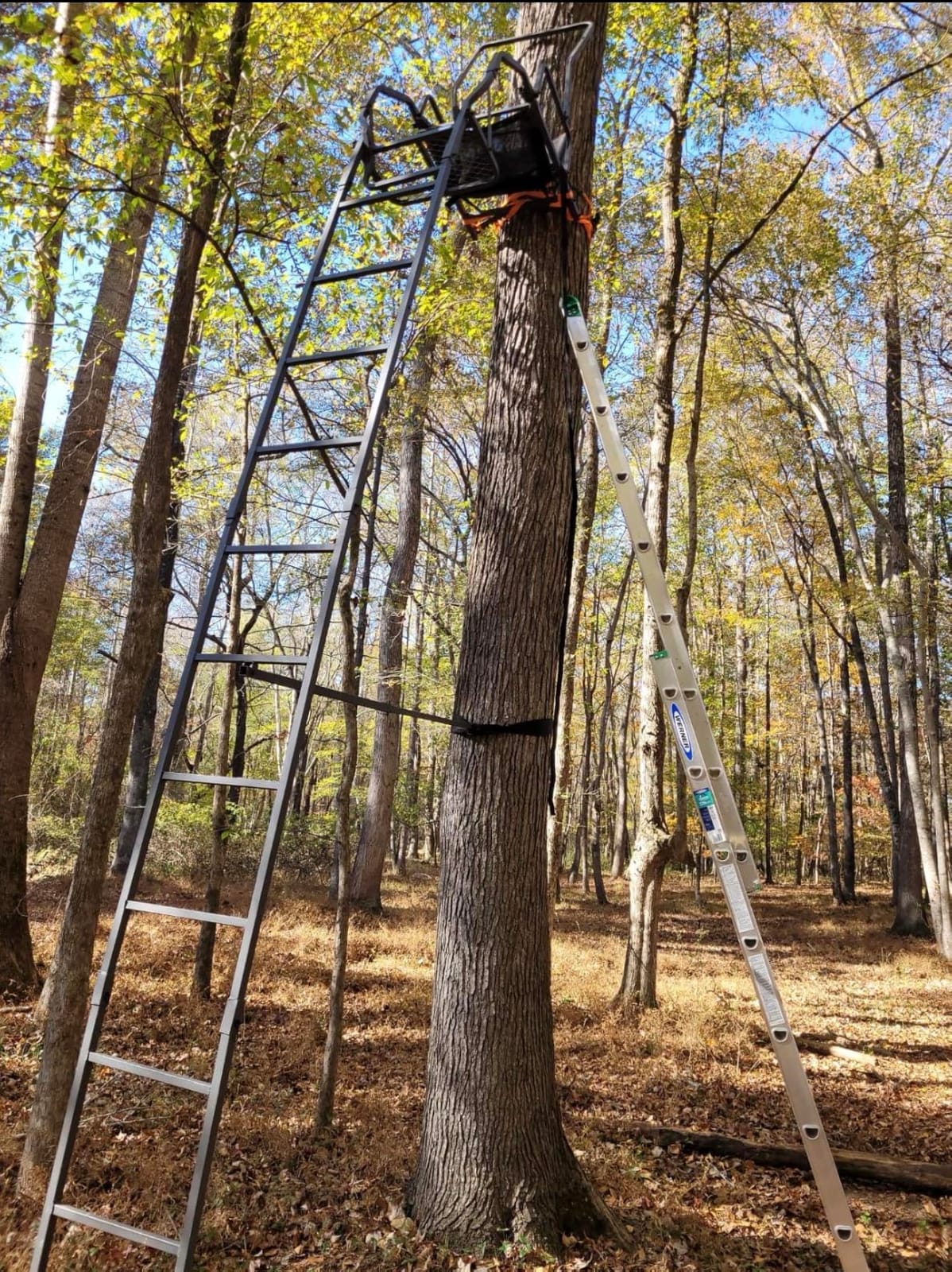 BIG GAME Ladder Tree/Tripod Stand for Hunting Deer customer photo 2