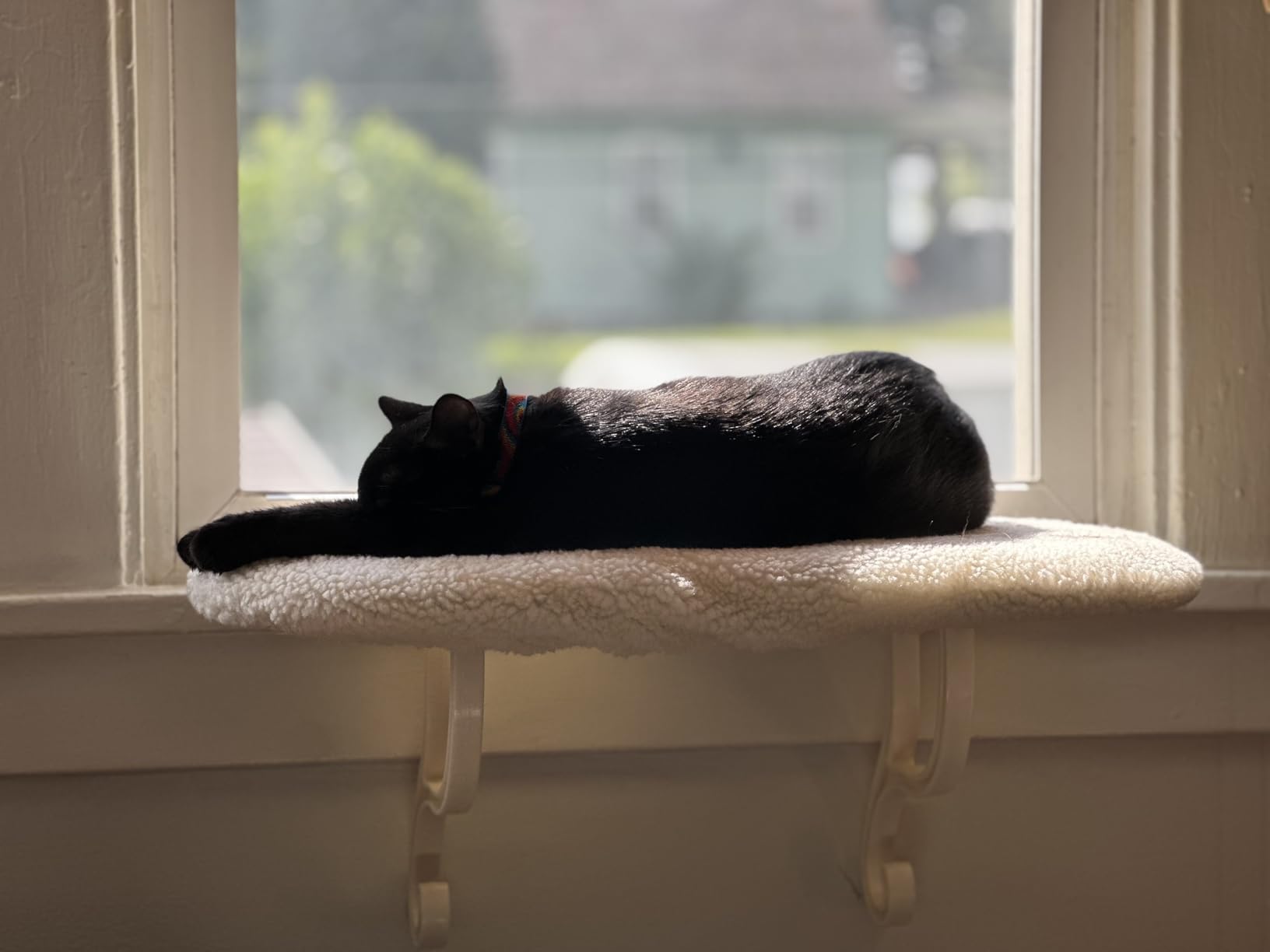 K&H Cat Window Perch, Unheated Kitty Sill, 24x14in, Fleece customer photo 2