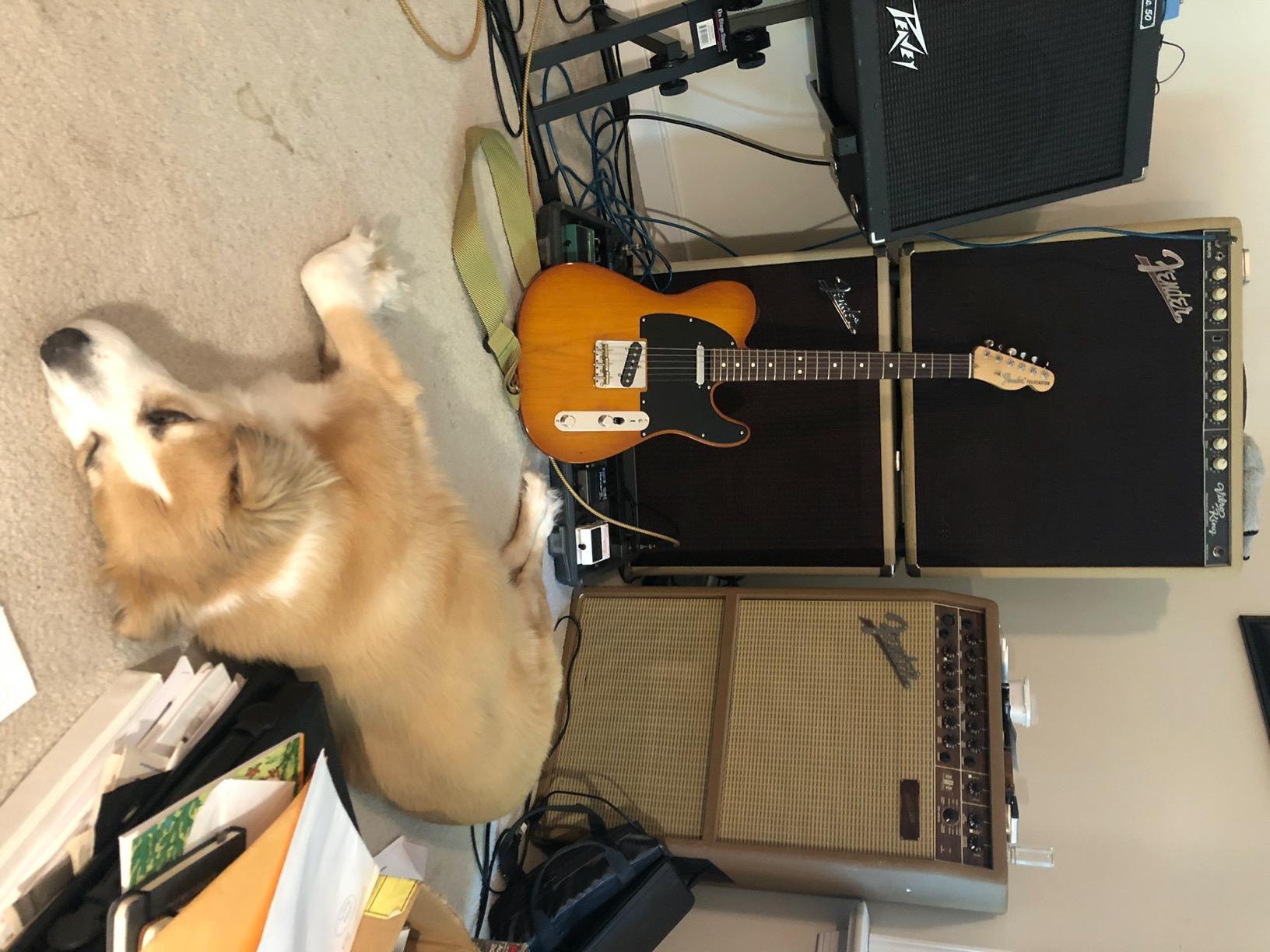 Fender American Performer Telecaster - Honeyburst with Rosewood Fingerboard customer photo 1