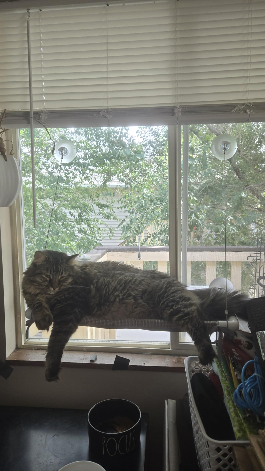 PEFUNY Cat Window Hammock – Mess-Free Waterproof Cats Window Perch for Large Cats, Strong Suction Cup Hammock with Flannel Cover, Indoor Cat Seat, Beige customer photo 2