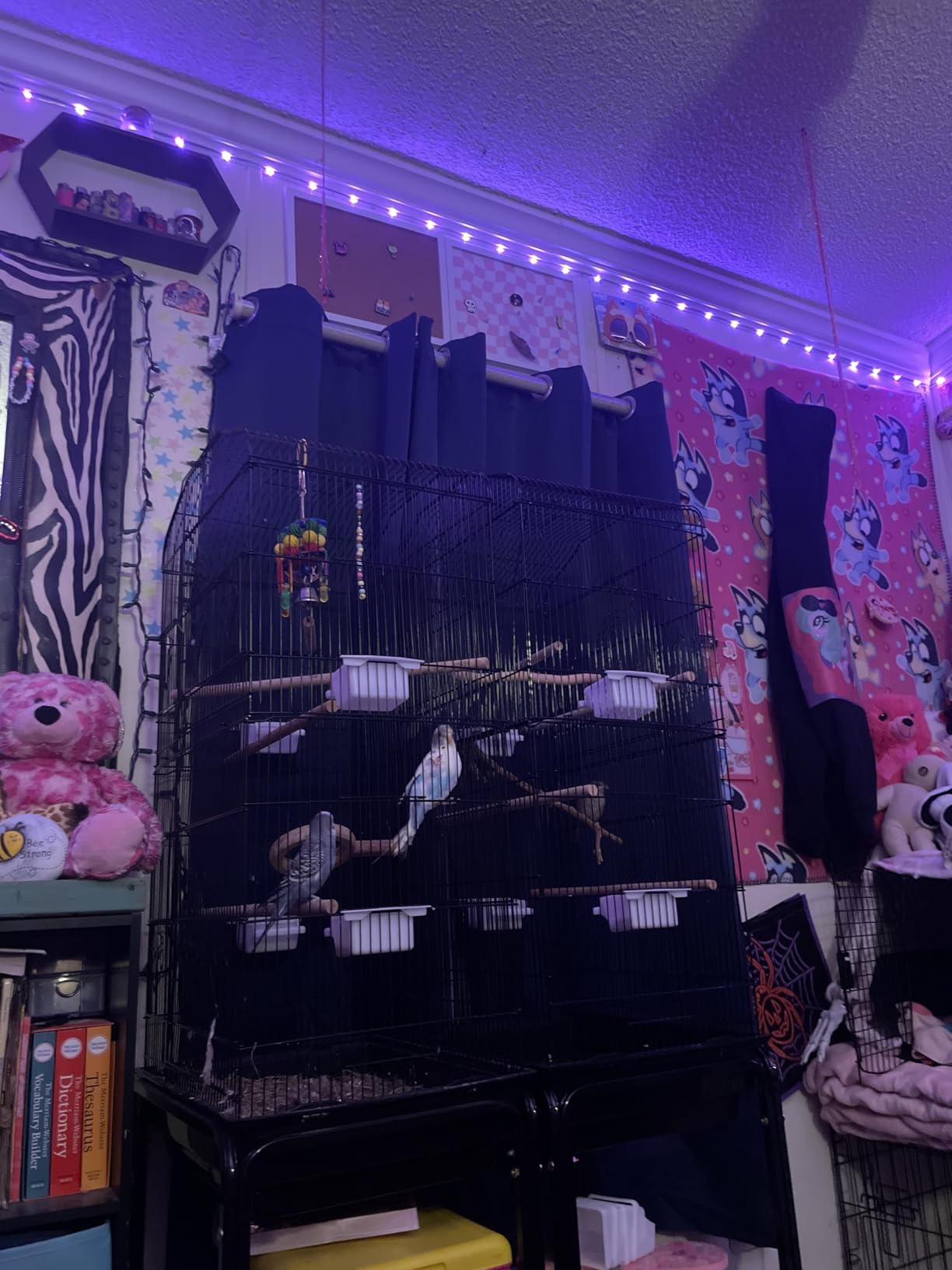 SUPER DEAL 59.3 Rolling Bird Cage Large Wrought Iron Cage for Cockatiel Sun Conure Parakeet Finch Budgie Lovebird Canary Medium Pet House with Rolling Stand & Storage Shelf customer photo 1