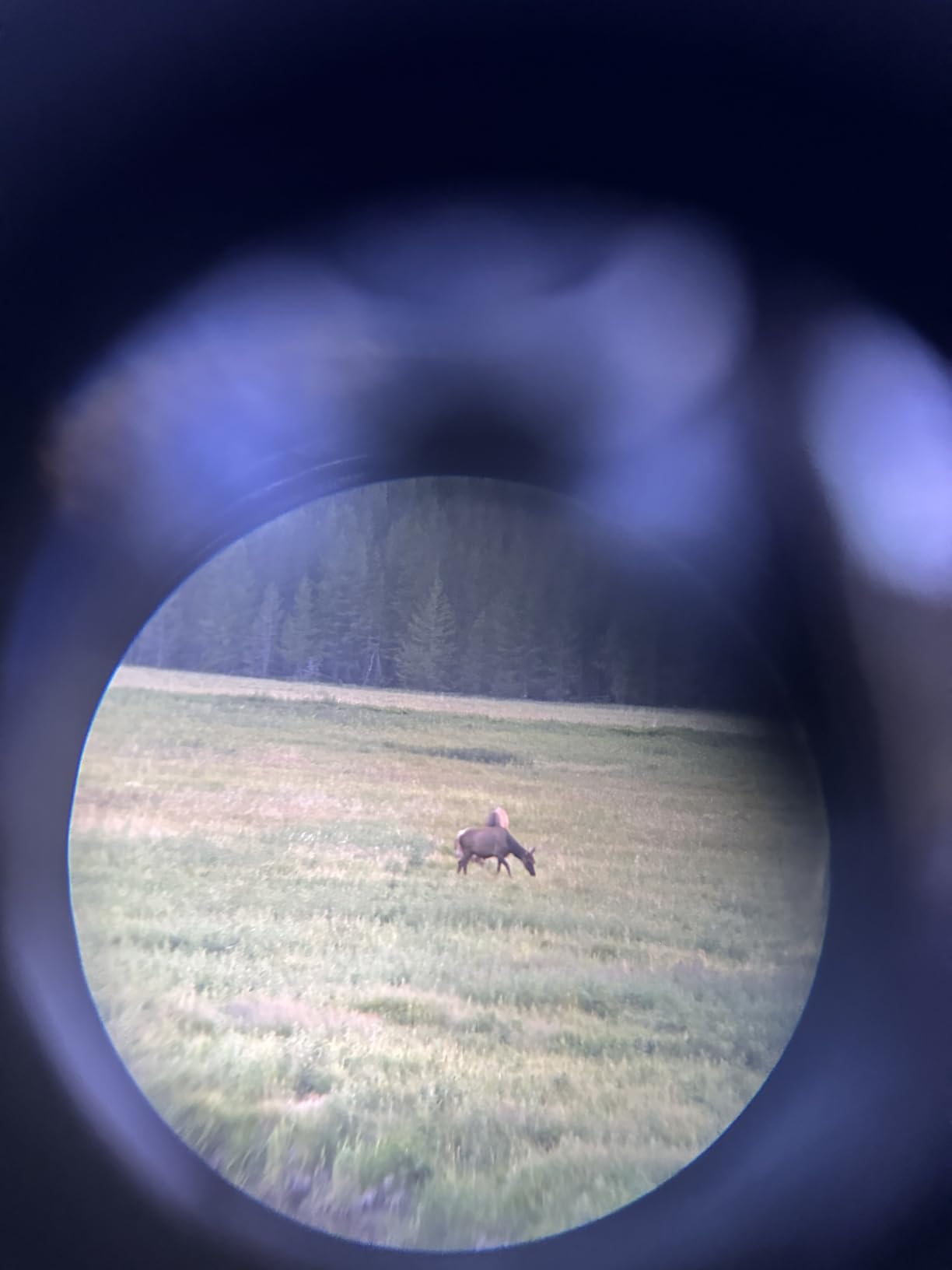 Hontry 10x25 Compact Binoculars for Adults and Kids customer photo 1