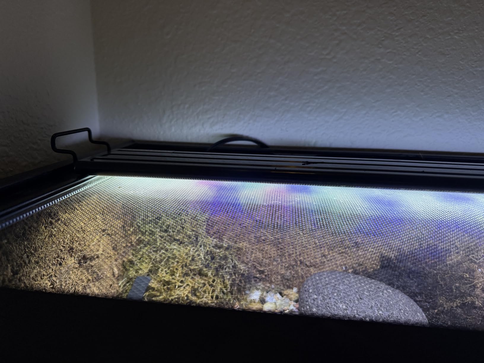 AQUANEAT LED Aquarium Light Full Spectrum for 18 Inch to 24 Inch Fish Tank Light Fresh Water customer photo 1