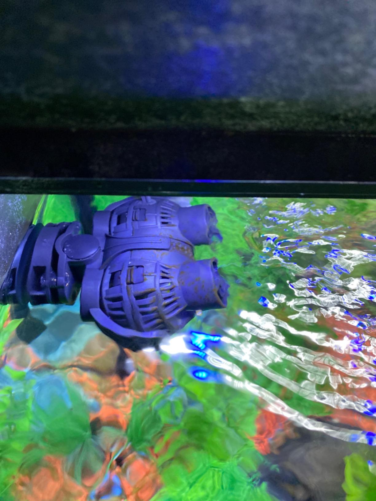 FREESEA Magnetic Wave Maker for Aquarium: 1s Mounts on 15mm Glass Secure customer photo 1