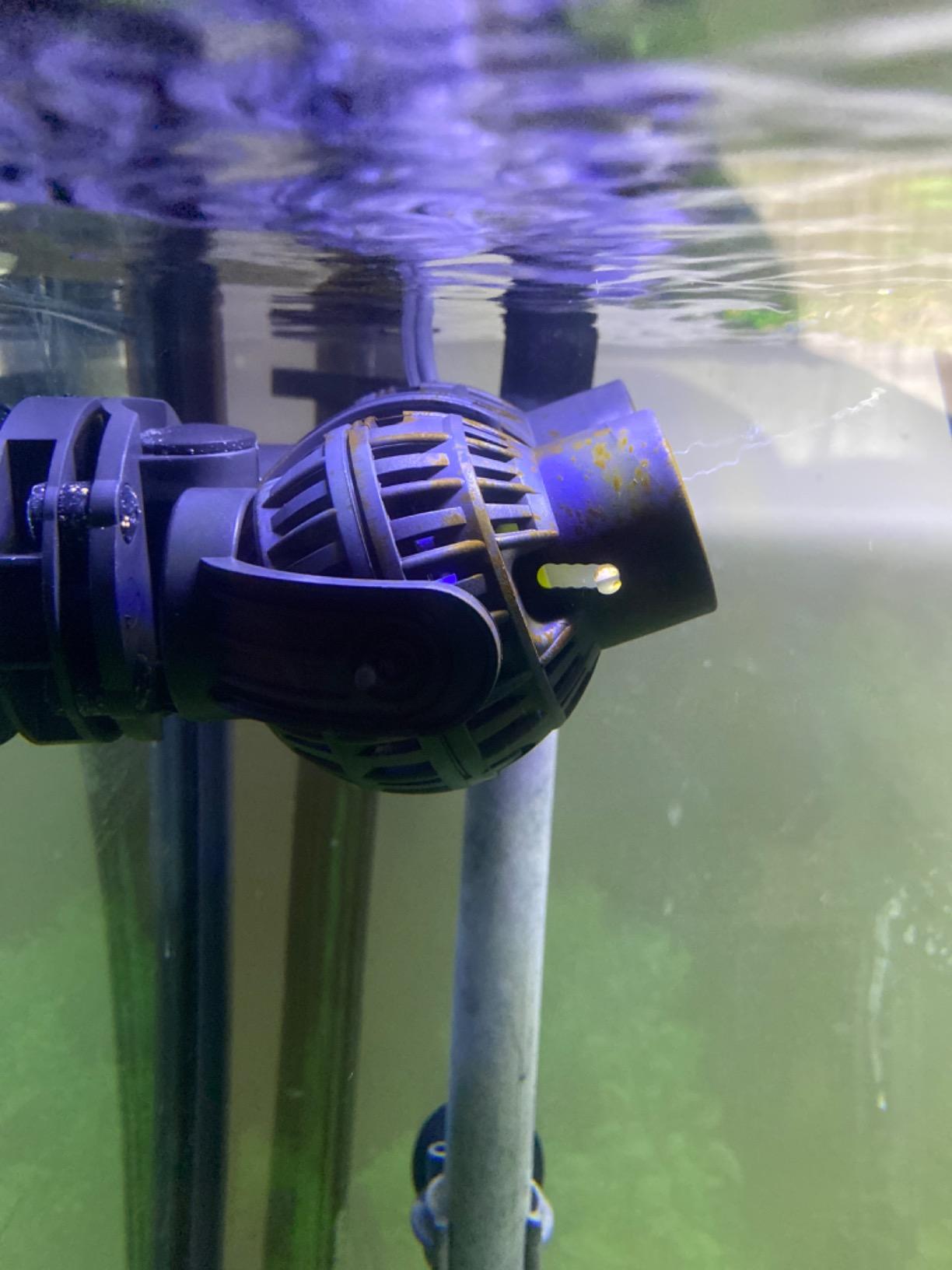 FREESEA Magnetic Wave Maker for Aquarium: 1s Mounts on 15mm Glass Secure customer photo 2