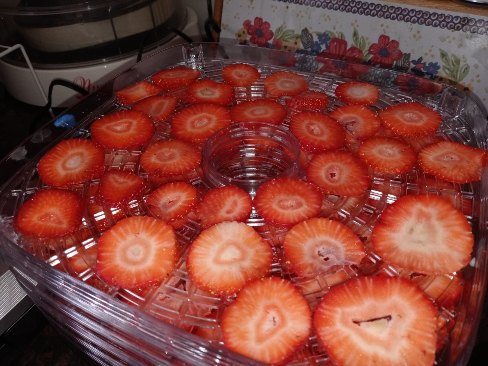 OSTBA Food Dehydrator, 5 Trays, 240W Dryer for Jerky, Fruit & Veggies customer photo 1