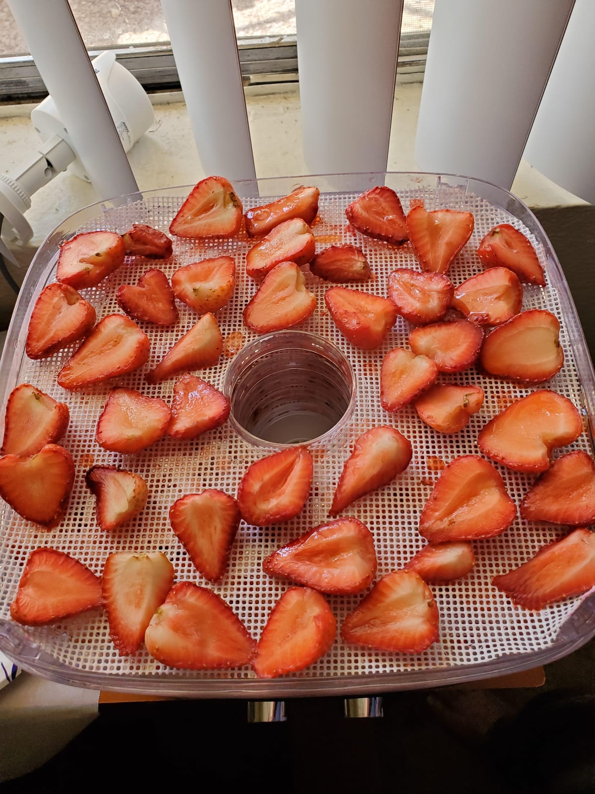 OSTBA Food Dehydrator, 5 Trays, 240W Dryer for Jerky, Fruit & Veggies customer photo 2